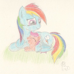 Size: 1400x1400 | Tagged: safe, rainbow dash, scootaloo, pegasus, pony, g4, duo, duo female, eyes closed, female, looking at someone, scootalove, wing blanket, winghug, wings