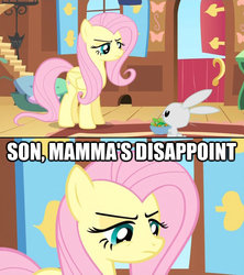 Size: 625x705 | Tagged: safe, angel bunny, fluttershy, g4, angry, fluttermom, i am disappoint, image macro