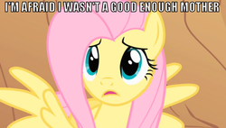 Size: 742x420 | Tagged: safe, fluttershy, g4, fluttermom, image macro