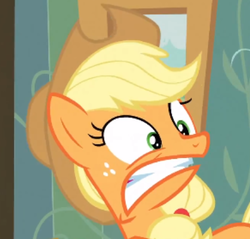 Size: 437x417 | Tagged: safe, screencap, applejack, earth pony, pony, apple family reunion, g4, cropped, female, mare, reaction image, solo