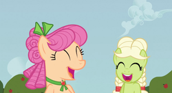 Size: 1195x651 | Tagged: safe, screencap, apple rose, granny smith, earth pony, pony, apple family reunion, g4, duo, duo female, eyes closed, faic, female, laughing, young apple rose, young granny smith