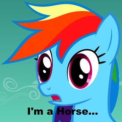 Size: 894x894 | Tagged: safe, rainbow dash, horse, pony, g4, captain obvious, existential crisis, shaped like itself