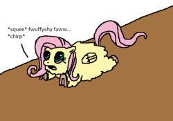 Size: 560x393 | Tagged: safe, fluttershy, fluffy pony, g4, fluffyshy