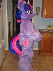 Size: 960x1280 | Tagged: artist needed, safe, twilight sparkle, g4, cosplay, fursuit, irl, photo