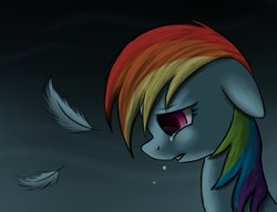 Size: 1019x784 | Tagged: safe, artist:maplesunrise, rainbow dash, g4, crying, solo