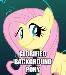 Size: 757x861 | Tagged: safe, edit, edited screencap, screencap, fluttershy, pegasus, pony, g4, abuse, female, flutterbuse, image macro, mare, op has a point, op is a duck, op is a duck but has a point, smiling, text