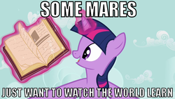 Size: 640x360 | Tagged: safe, twilight sparkle, g4, batman, book, image macro