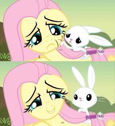 Size: 935x1026 | Tagged: safe, screencap, angel bunny, fluttershy, pegasus, pony, g4, hurricane fluttershy, angelbetes, comforting, cute, floppy ears, hub logo, tsundere