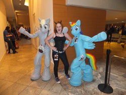 Size: 1024x768 | Tagged: safe, derpy hooves, rainbow dash, g4, cosplay, fursuit, irl, photo