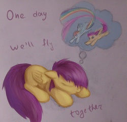 Size: 1274x1224 | Tagged: safe, artist:sokolas, rainbow dash, scootaloo, g4, scootaloo can't fly, sleeping