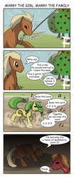 Size: 900x2160 | Tagged: safe, artist:liliy, apple fritter, big macintosh, meadow song, earth pony, pony, apple family reunion, g4, apple family member, barn, comic, male, marriage, meadowfritter, raise this barn, stallion, workaholic