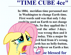 Size: 1114x864 | Tagged: safe, fluttershy, human, g4, conspiracy, conspiracy theory, crying, earth, female, internet, open mouth, solo, text, timecube, web design, website