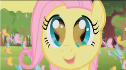 Size: 800x445 | Tagged: safe, screencap, fluttershy, butterfly, pony, g4, the cutie mark chronicles, bust, cute, eye reflection, female, filly, filly fluttershy, foal, open mouth, open smile, outdoors, reflection, smiling, so many wonders, solo, younger