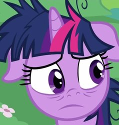 Size: 610x640 | Tagged: safe, screencap, twilight sparkle, pony, g4, lesson zero, cropped, female, floppy ears, messy mane, solo