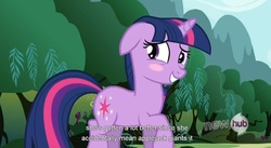 Size: 1555x855 | Tagged: safe, screencap, twilight sparkle, g4, youtube caption, youtube link