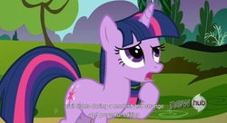 Size: 1577x855 | Tagged: safe, screencap, twilight sparkle, g4, youtube caption, youtube link