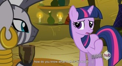 Size: 1583x863 | Tagged: safe, screencap, twilight sparkle, zecora, unicorn, zebra, g4, hub logo, youtube caption, youtube link, zecora's hut