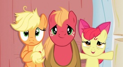 Size: 856x470 | Tagged: safe, edit, edited screencap, screencap, apple bloom, applejack, big macintosh, earth pony, pony, apple family reunion, g4, apple siblings, bed, female, filly, male, mare, on back, pillow, stallion