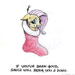 Size: 500x497 | Tagged: safe, artist:el-yeguero, fluttershy, g4, bronybait, christmas, christmas stocking, embarrassed, sweat