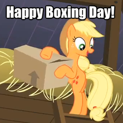 Size: 340x340 | Tagged: safe, applejack, g4, boxing day, cardboard box, image macro