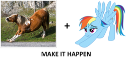 Size: 1100x526 | Tagged: safe, rainbow dash, g4, exploitable meme, irl, iwtcird, make it happen, meme, meta, real pony, scrunchy face, stretching