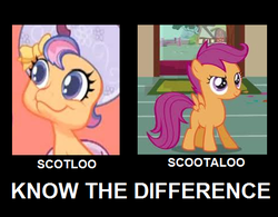 Size: 481x375 | Tagged: safe, scootaloo, scootaloo (g3), g3, g3.5, g4, newborn cuties, eldritch abomination, g3 hate, image macro, know the difference, scotloo