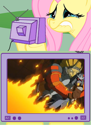 Size: 564x772 | Tagged: safe, fluttershy, pony, g4, crying, exploitable meme, female, fluttercry, heroic sacrifice, mare, meme, teenage mutant ninja turtles, the shredder, tmnt 2003 series, triceraton, tv meme, zog