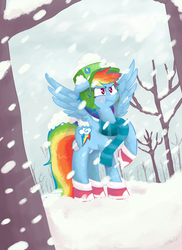 Size: 800x1100 | Tagged: dead source, safe, artist:xieril, rainbow dash, pony, g4, boots, clothes, female, hat, scarf, snow, snowfall, solo