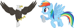 Size: 900x338 | Tagged: artist needed, safe, rainbow dash, bald eagle, bird, eagle, pegasus, pony, g4, may the best pet win, duo, flying, simple background, tissue, transparent background, vector