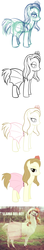 Size: 478x2739 | Tagged: safe, llama, pony, female, irl, photo