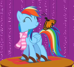 Size: 372x337 | Tagged: safe, screencap, rainbow dash, butterfly, pony, g4, may the best pet win, my little pony: friendship is magic, skis