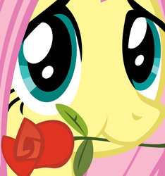 Size: 737x788 | Tagged: safe, fluttershy, pony, g4, :t, cute, female, flower in mouth, looking at you, mouth hold, rose, rose in mouth, shyabetes, smiling, solo, waifu