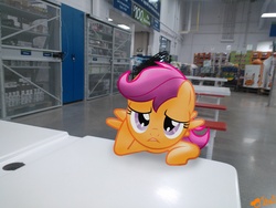 Size: 3264x2448 | Tagged: safe, artist:ojhat, scootaloo, pony, g4, bored, female, filly, foal, irl, photo, ponies in real life, sam's club, solo, store, table, vector