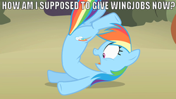 Size: 640x360 | Tagged: safe, edit, edited screencap, screencap, rainbow dash, pony, g4, the return of harmony, dialogue, female, image macro, solo