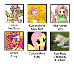 Size: 815x708 | Tagged: safe, fluttershy, horse, anthro, g4, ambiguous facial structure, anthro chart, caption, chart, furry, humanized, misspelling