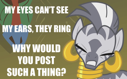 Size: 1150x720 | Tagged: safe, zecora, zebra, g4, caption, image macro, reaction image, rhyme, why, why would you post that