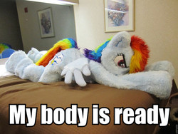 Size: 500x375 | Tagged: safe, artist:spainfischer, edit, rainbow dash, human, pegasus, pony, g4, 2011, clothes, cosplay, costume, fursuit, image macro, impact font, irl, irl human, meme edit, my body is ready, photo, ponysuit, pose, smiling, smirk, suit, tail, wings