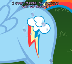 Size: 6800x6000 | Tagged: safe, artist:nightmaremoons, rainbow dash, twilight sparkle, pegasus, pony, g4, absurd resolution, butt, female, flank, lesbian, mare, plot, pun, ship:twidash, shipping, sweat