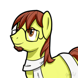 Size: 480x480 | Tagged: safe, artist:junaecbs, oc, oc only, earth pony, pony, glasses