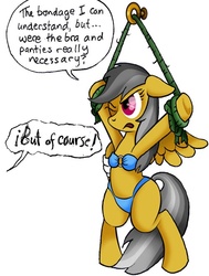 Size: 499x659 | Tagged: safe, artist:susiebeeca, ahuizotl, daring do, g4, bikini, bondage, clothes, female, ship:darizotl, shipping, simple background, solo, straight, suspended, swimsuit, we don't normally wear clothes