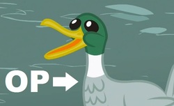 Size: 562x341 | Tagged: safe, edit, edited screencap, screencap, bird, duck, g4, may the best pet win, op, op is a duck, op is a duck (reaction image), reaction image, solo