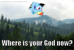 Size: 1024x684 | Tagged: safe, editor:i-shooped-a-pwny, rainbow dash, g4, ceiling cat, where is your god now?