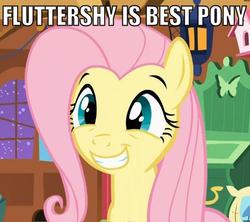 Size: 517x459 | Tagged: safe, fluttershy, g4, best pony, image macro