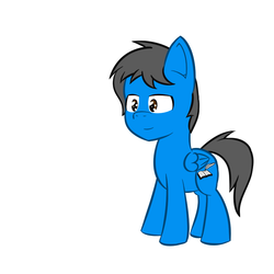 Size: 800x800 | Tagged: safe, artist:coolstorybrony, oc, oc only