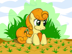 Size: 1600x1200 | Tagged: safe, artist:xn-d, carrot top, golden harvest, pony, g4, carrot, cute, cutie top, eating, food, garden, herbivore, solo