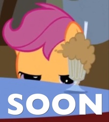 Size: 643x720 | Tagged: safe, scootaloo, g4, one bad apple, caption, image macro, milkshake, soon