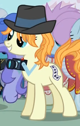 Size: 400x625 | Tagged: safe, screencap, midnight fun, press pass, press release (g4), soigne folio, pony, g4, background pony, camera, hat