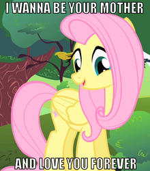 Size: 496x563 | Tagged: safe, fluttershy, fanfic:pattycakes, g4, fanfic, fluttermom, image macro, quote