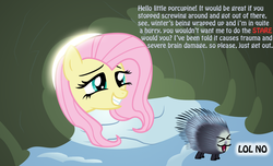 Size: 1159x703 | Tagged: safe, artist:ohthatandy, fluttershy, pegasus, pony, porcupine, g4, winter wrap up, grin, lol no, smiling, squee