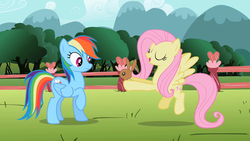 Size: 640x360 | Tagged: safe, screencap, fluttershy, rainbow dash, pegasus, pony, rabbit, g4, may the best pet win, season 2, eyes closed, find a pet